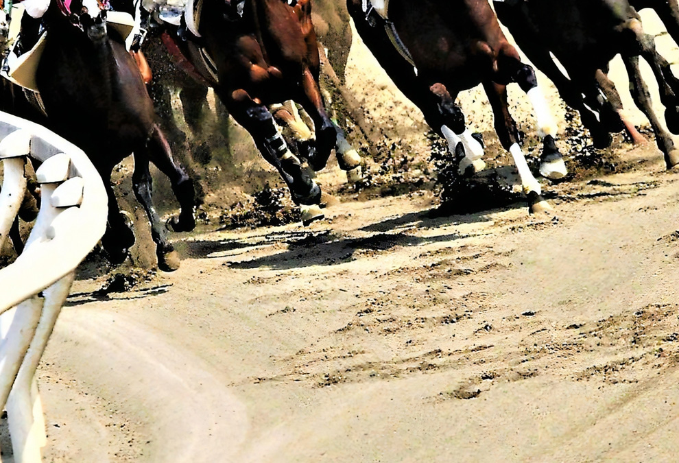 目名太山口牧場の特徴