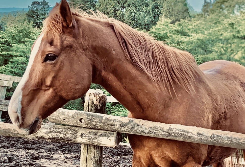 預託後について