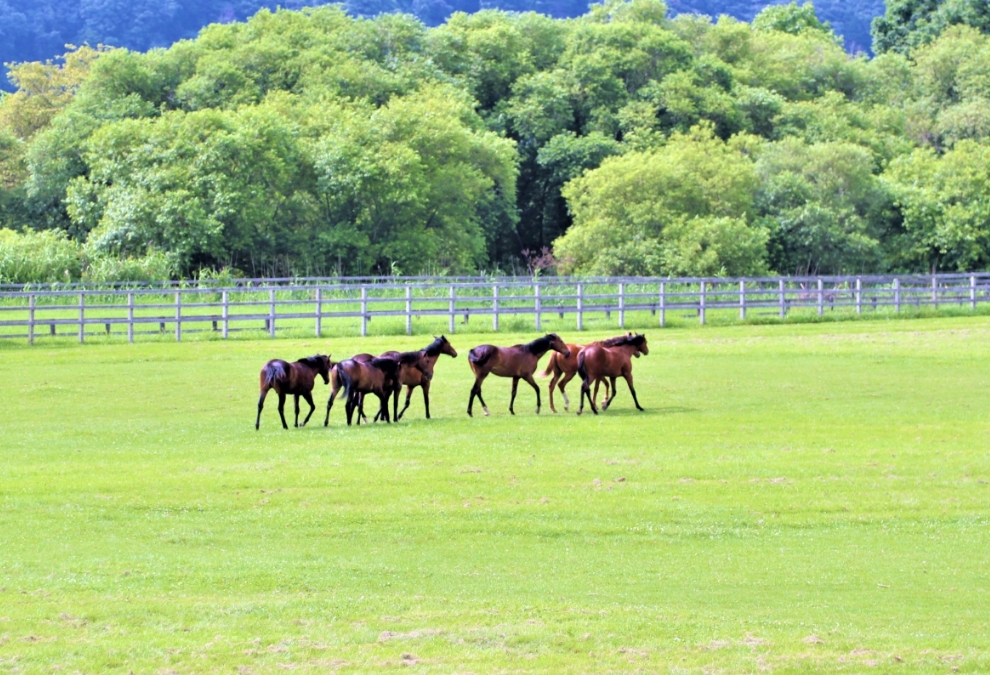 預託を検討中の方へ