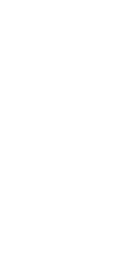 あなたの馬はこの大地で輝く