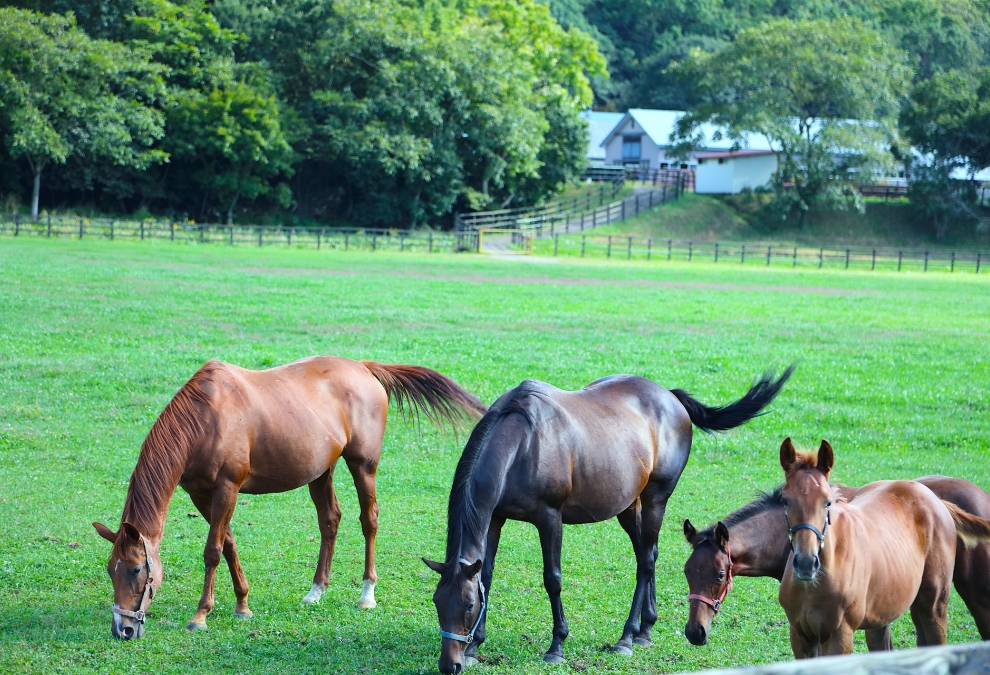 生産後について