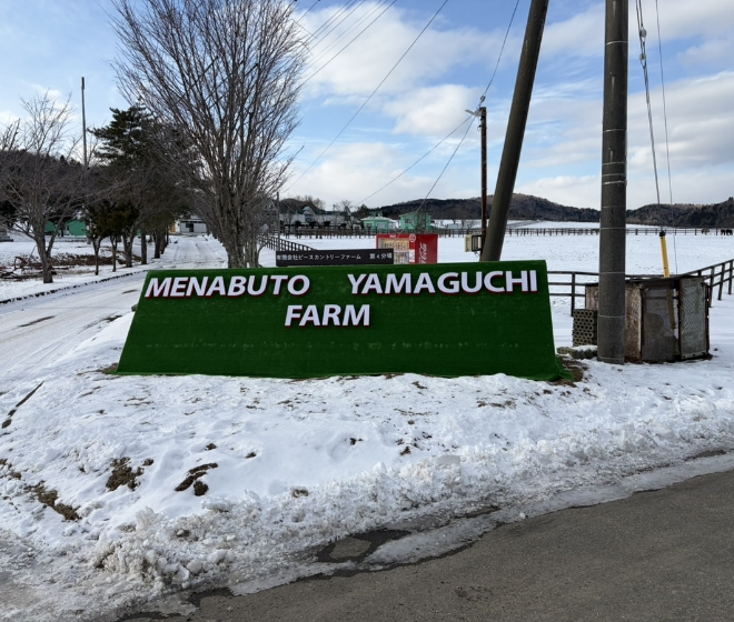 馬と向き合い成長できる職場環境