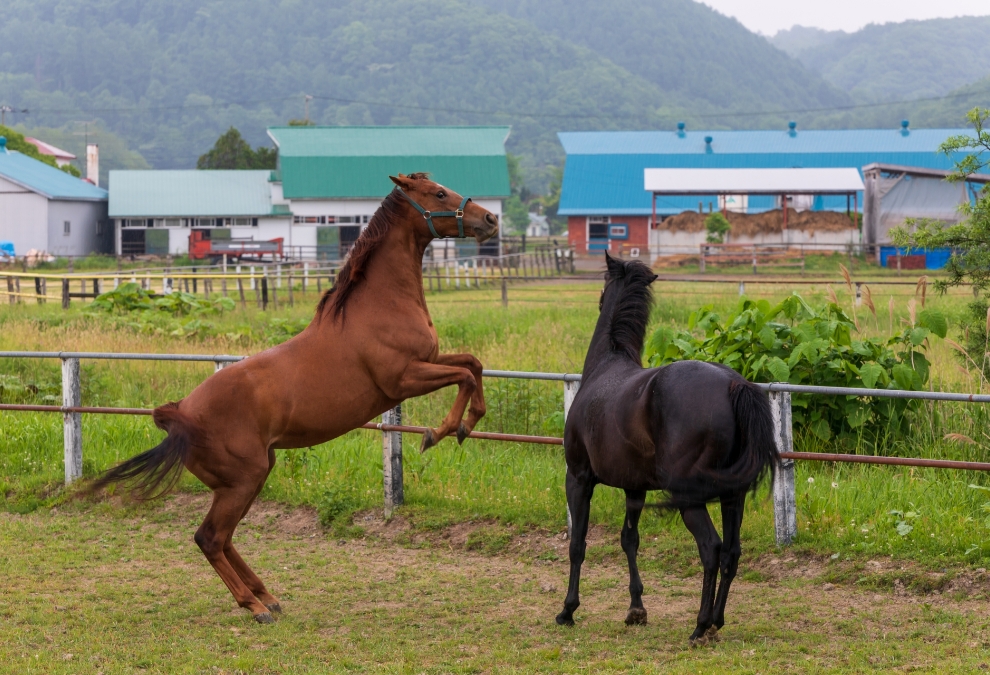 未経験から挑戦できるサポート体制