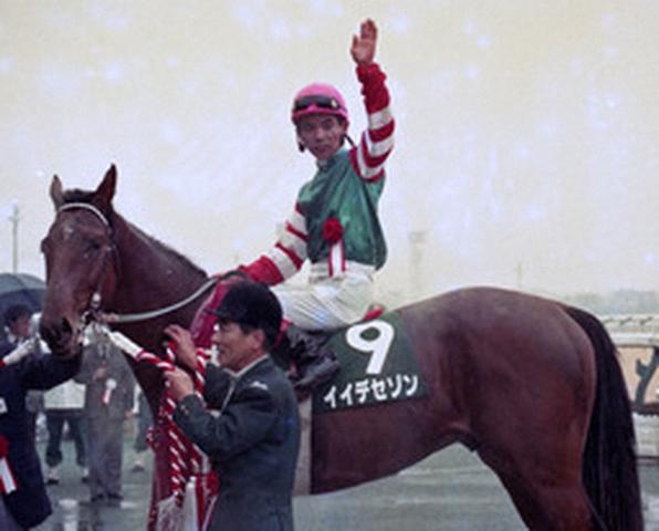 イイデセゾン（1991年 共同通信杯4歳S・G3）